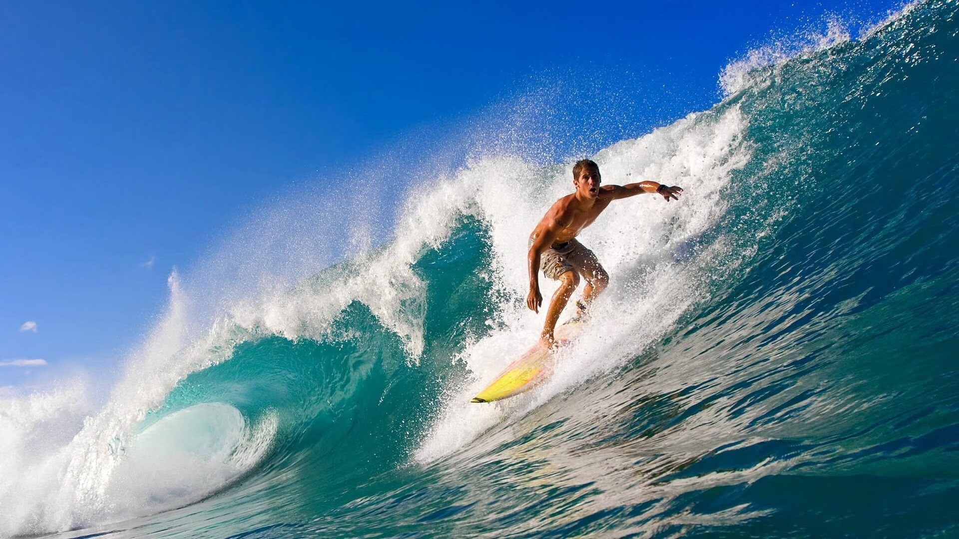 星空·综合体育-“新加坡泳池激战!2025世界游泳锦标赛精彩开幕”